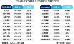 2024最“出圈”IPO：上门按摩、精神病院、P公章、状告交易所……